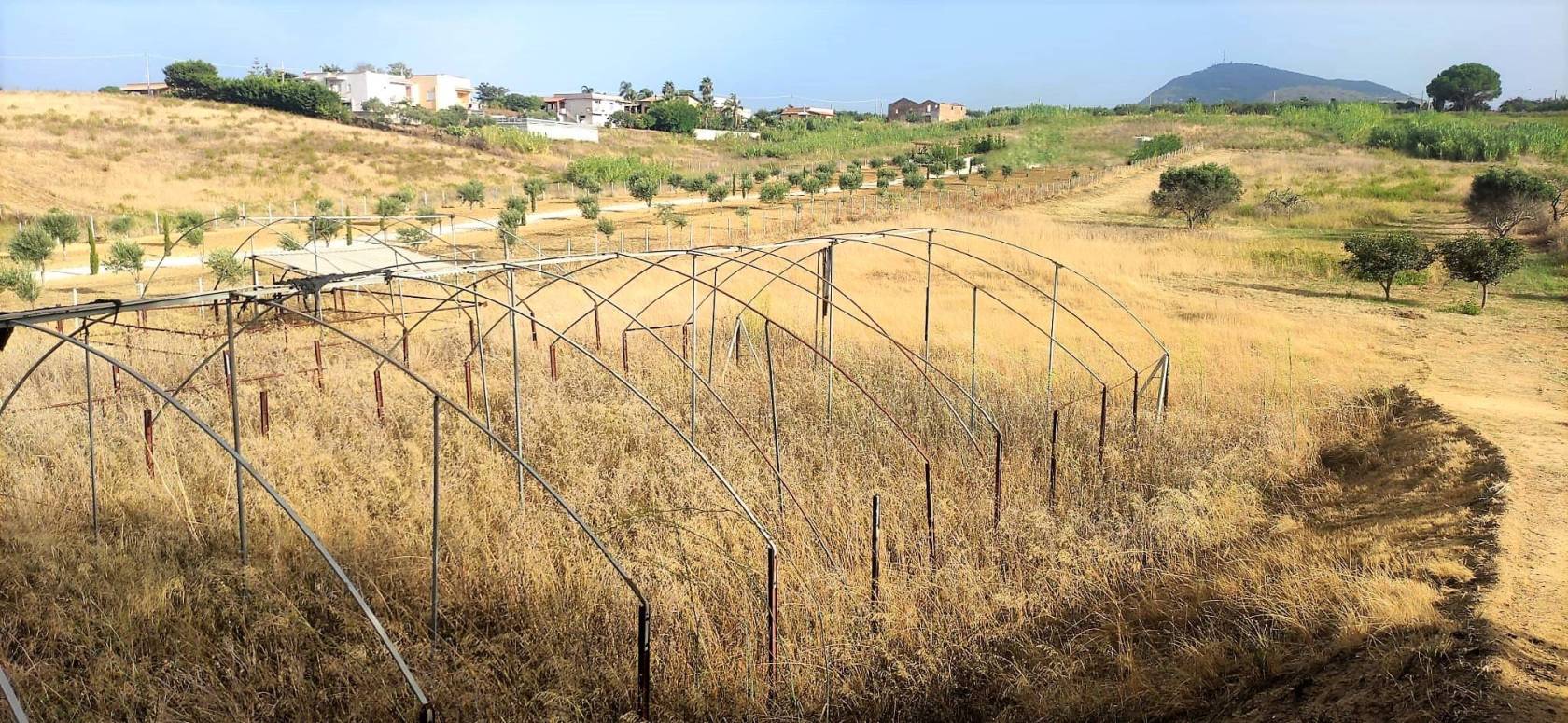 Terreno