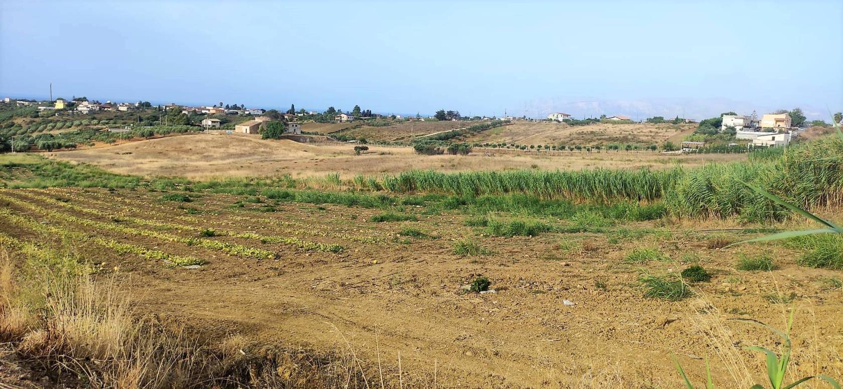 Terreno