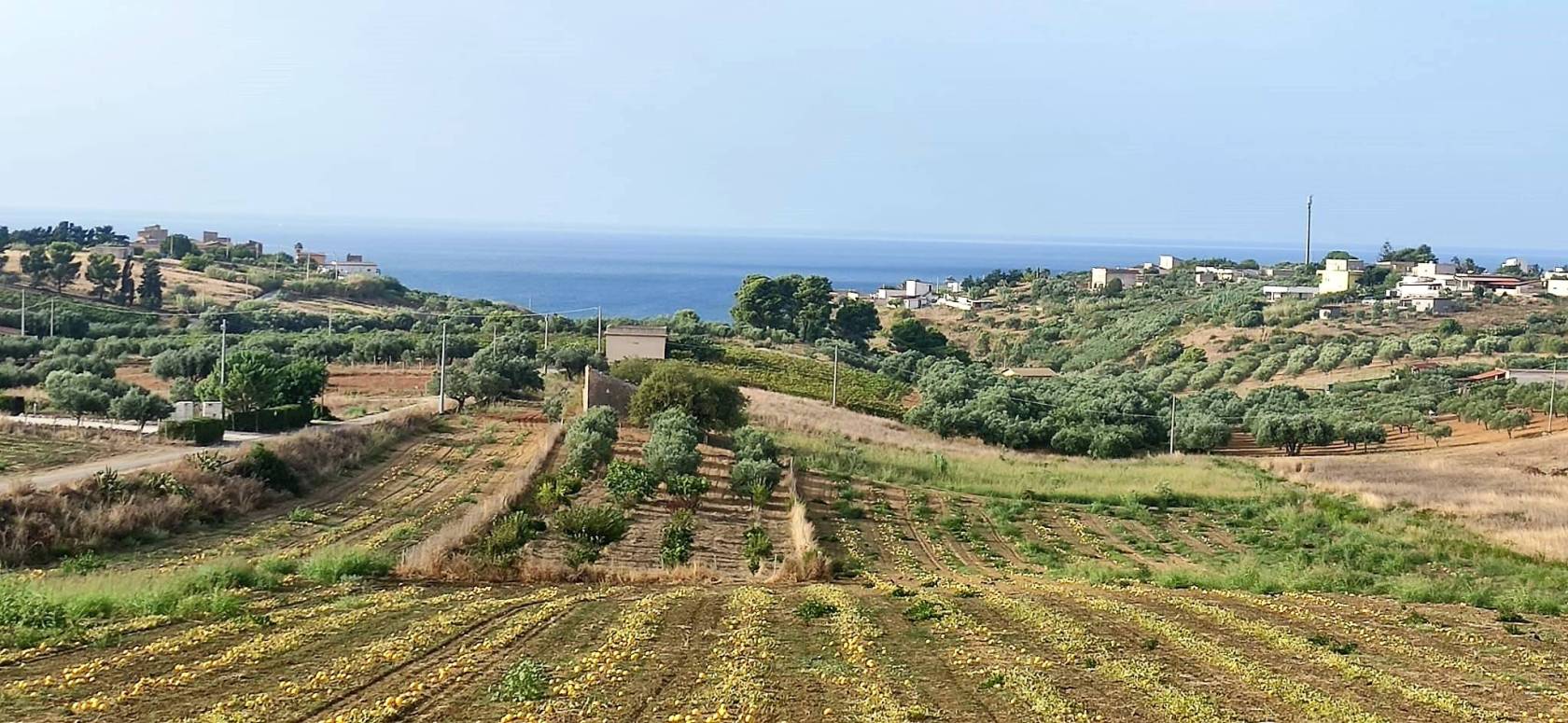 Terreno