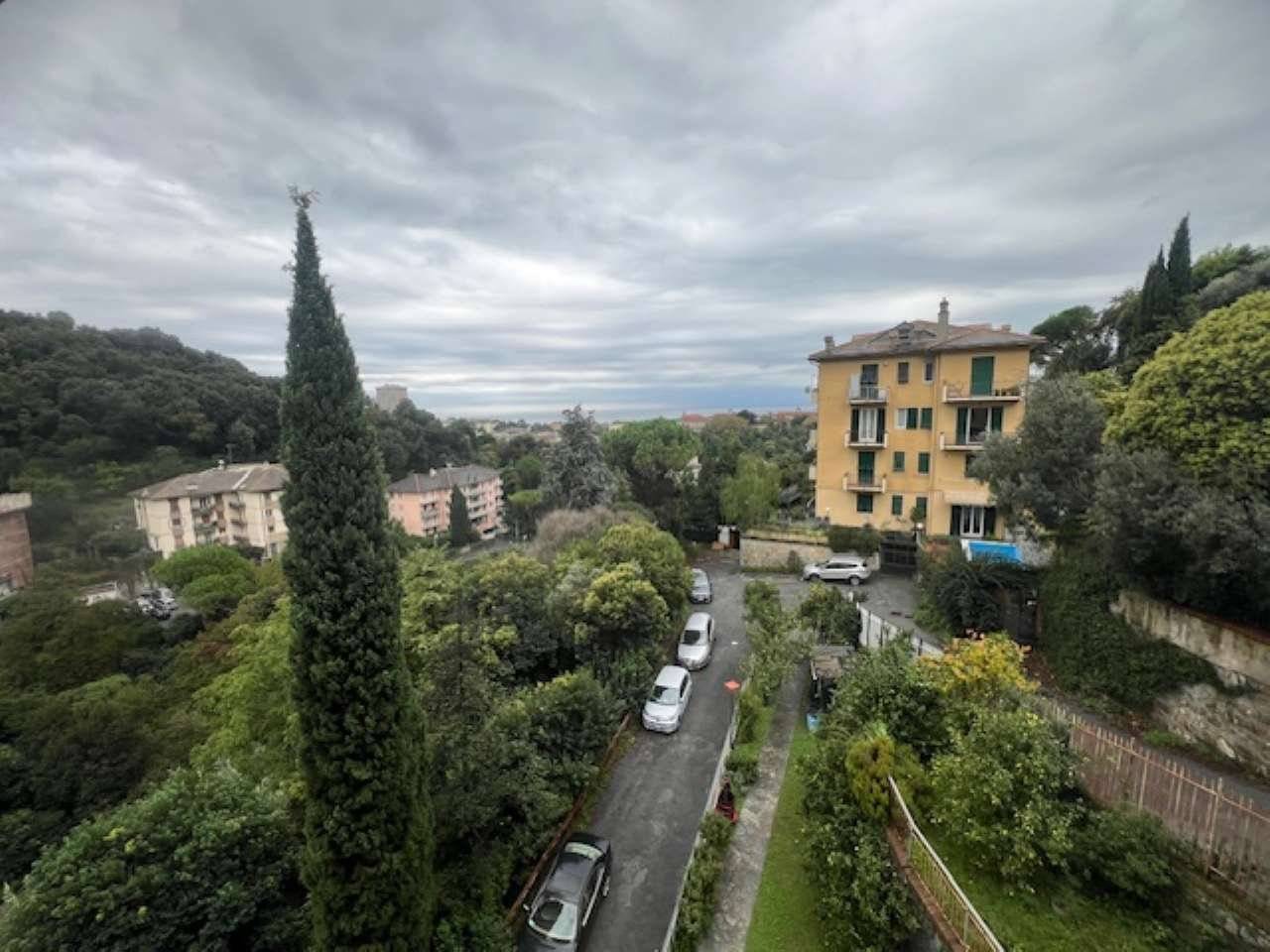 Vista