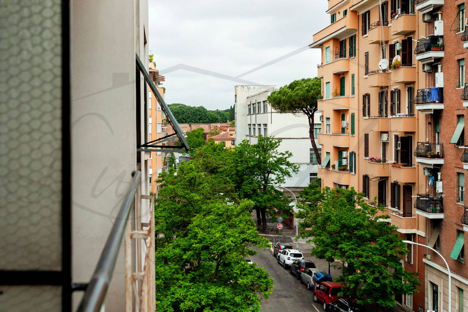 Vista