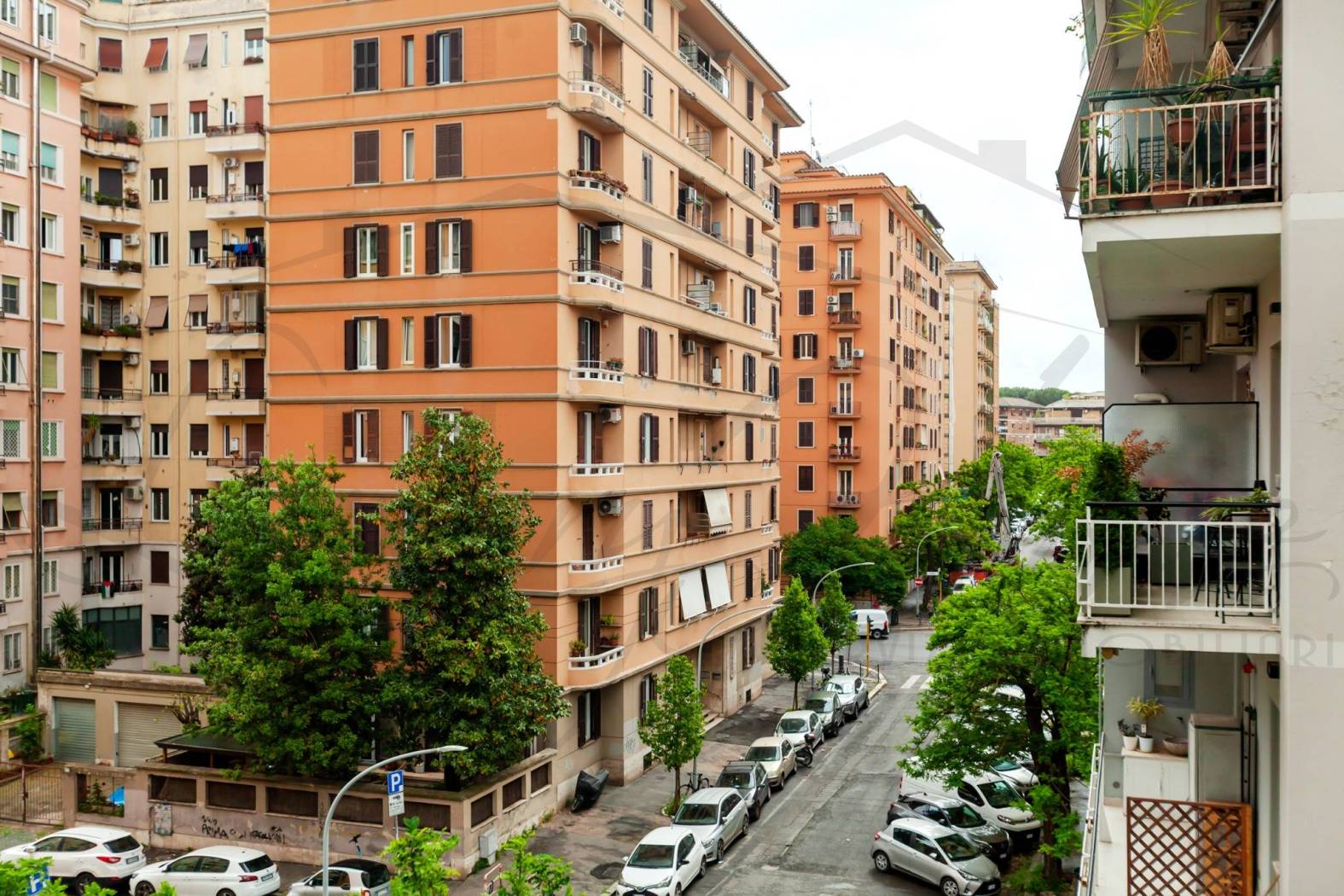 Vista