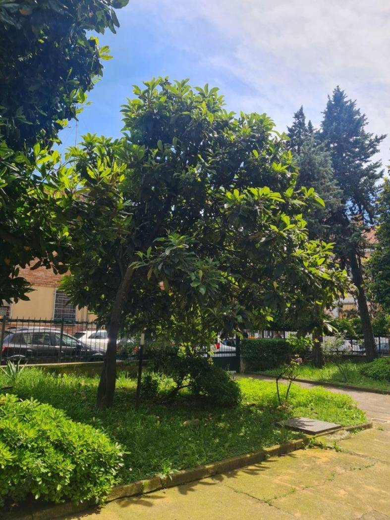 Giardino Giardino