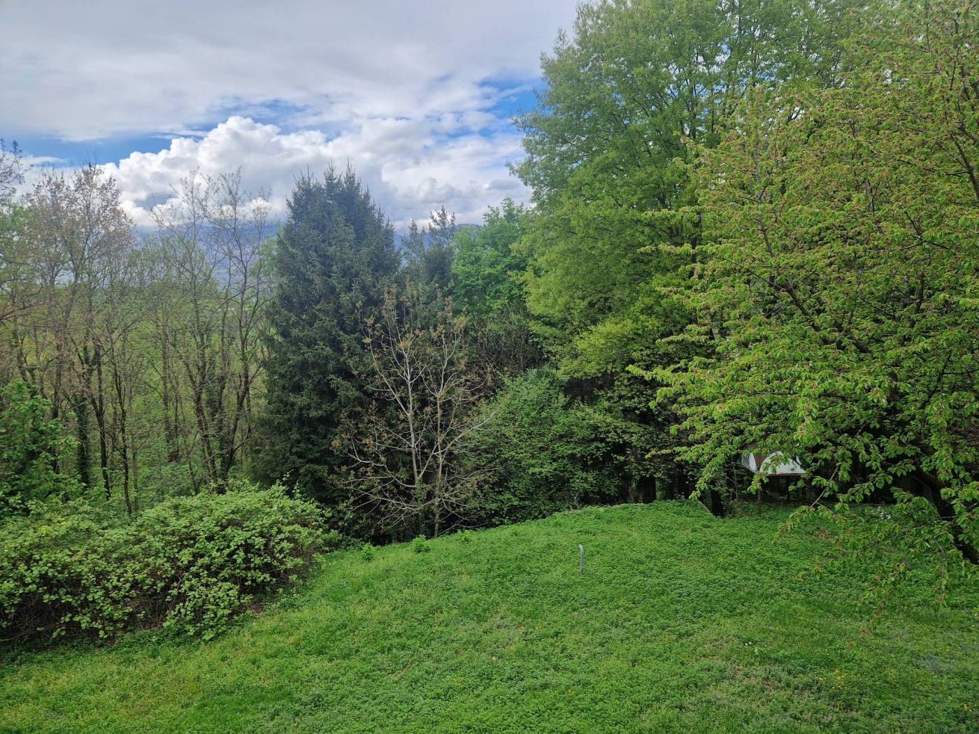 Terreno