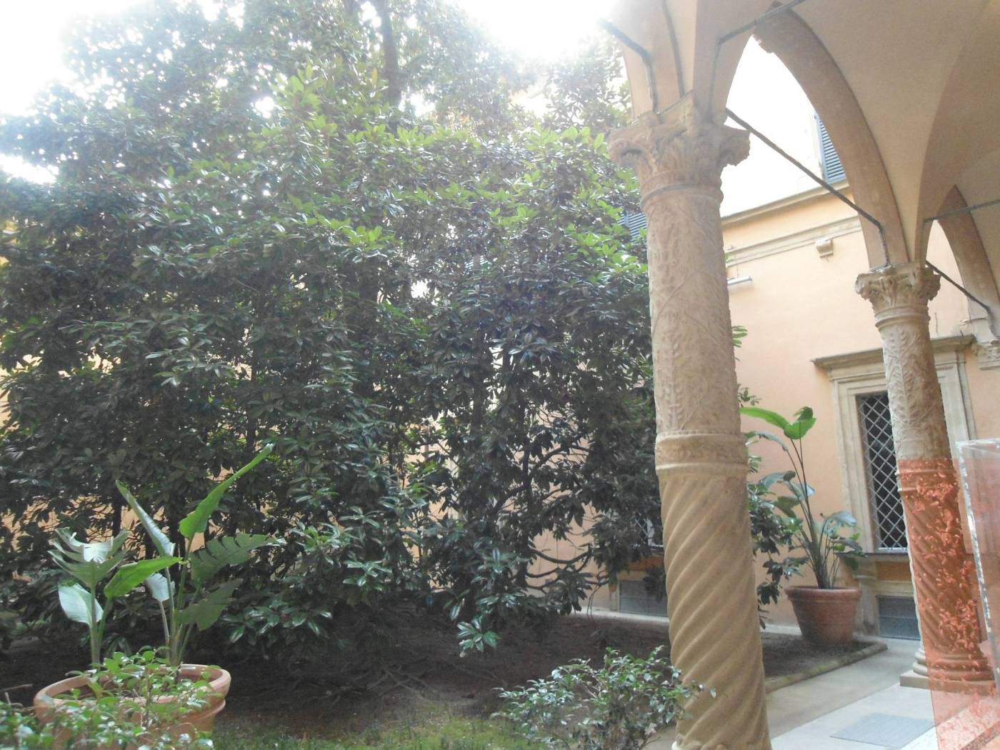 Giardino