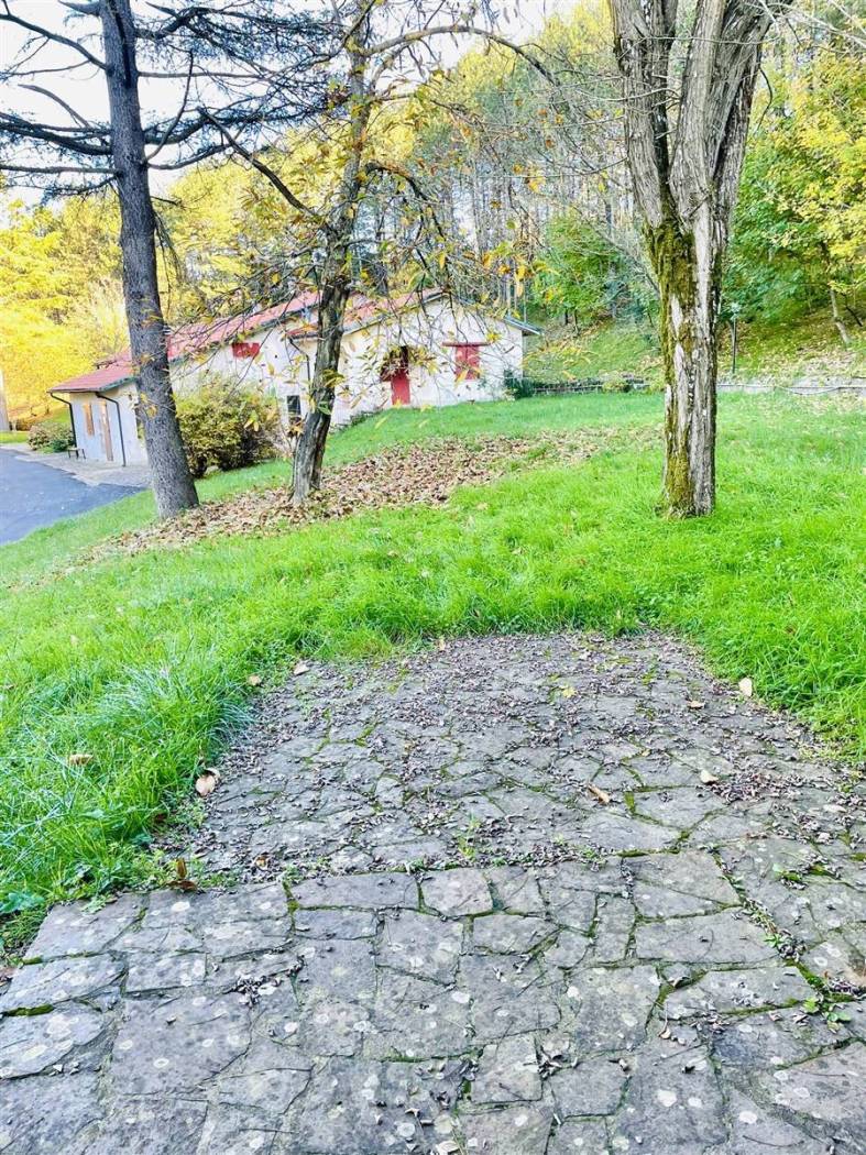 Giardino
