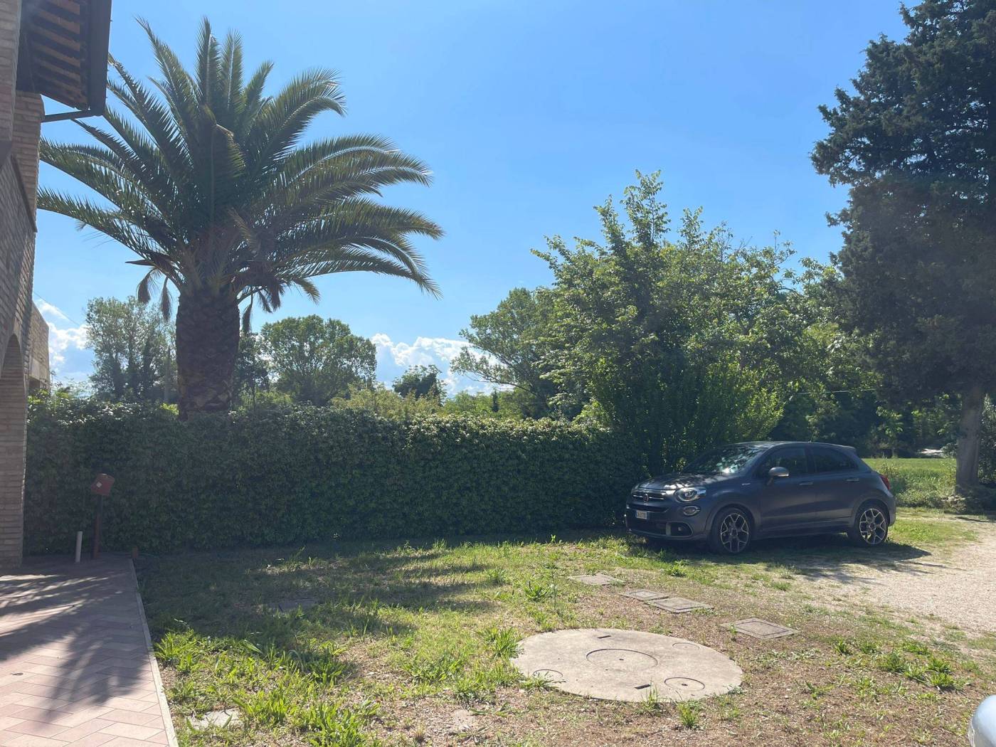 Giardino