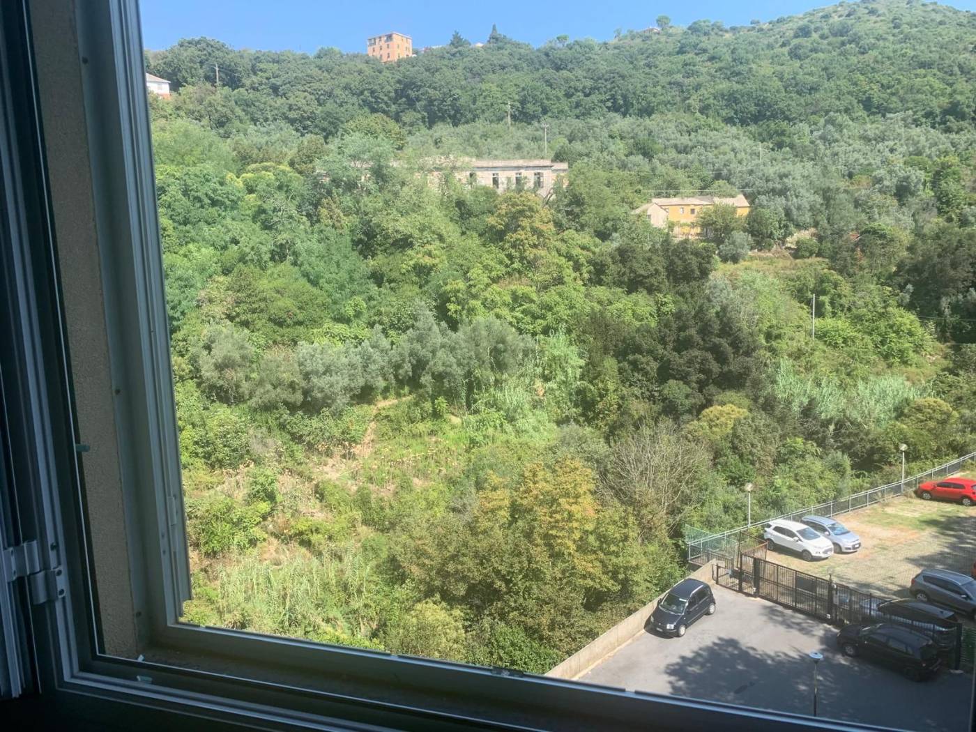 Vista