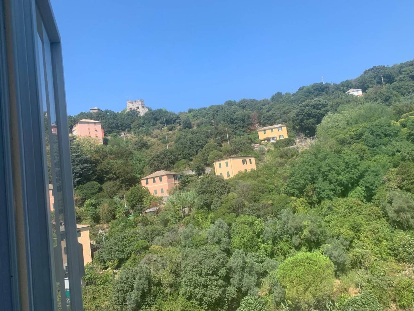Vista