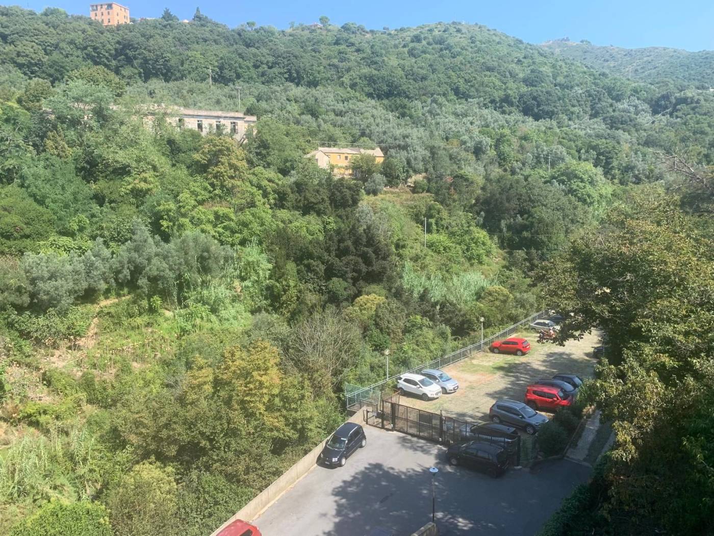 Vista