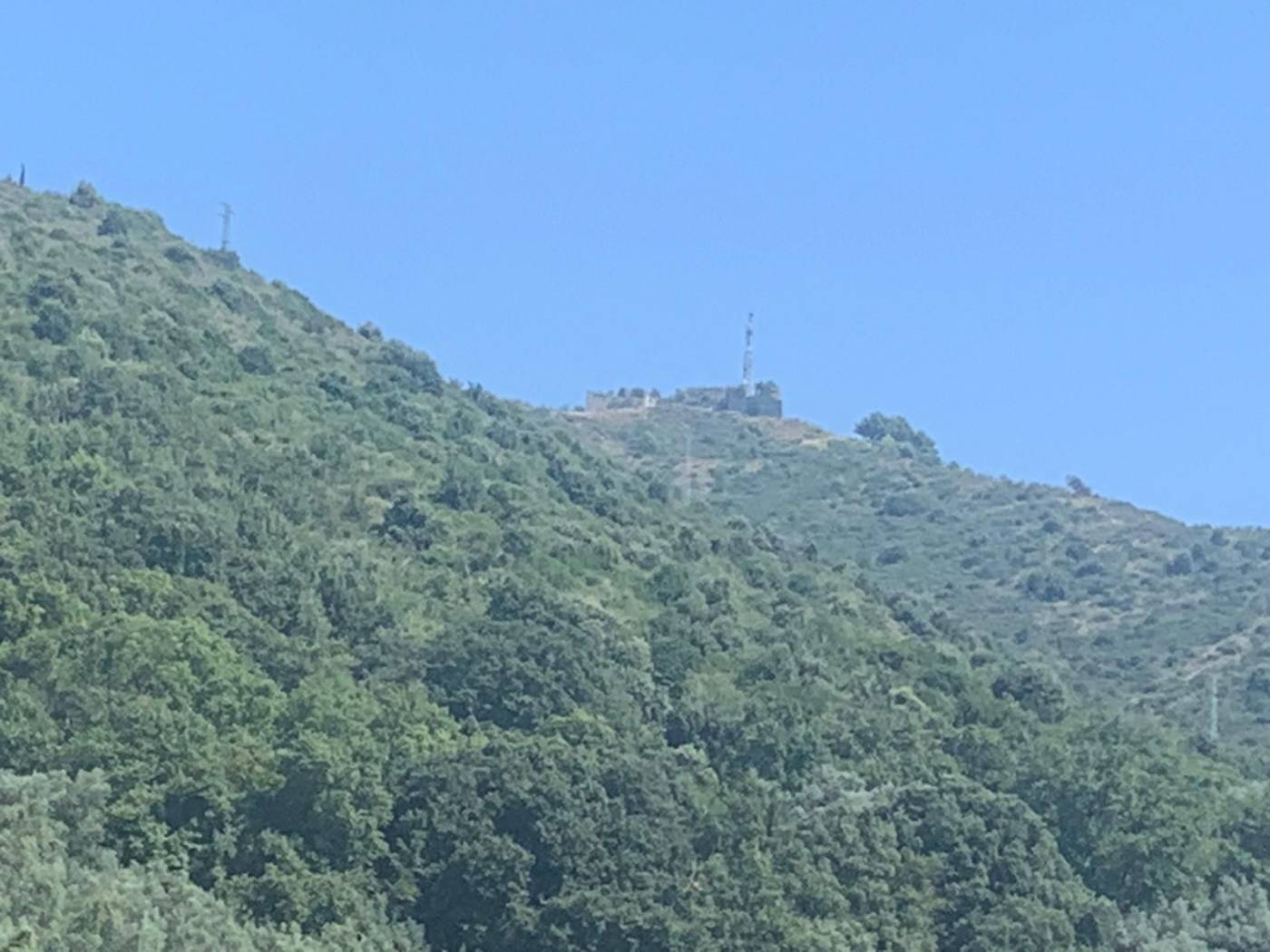 Vista