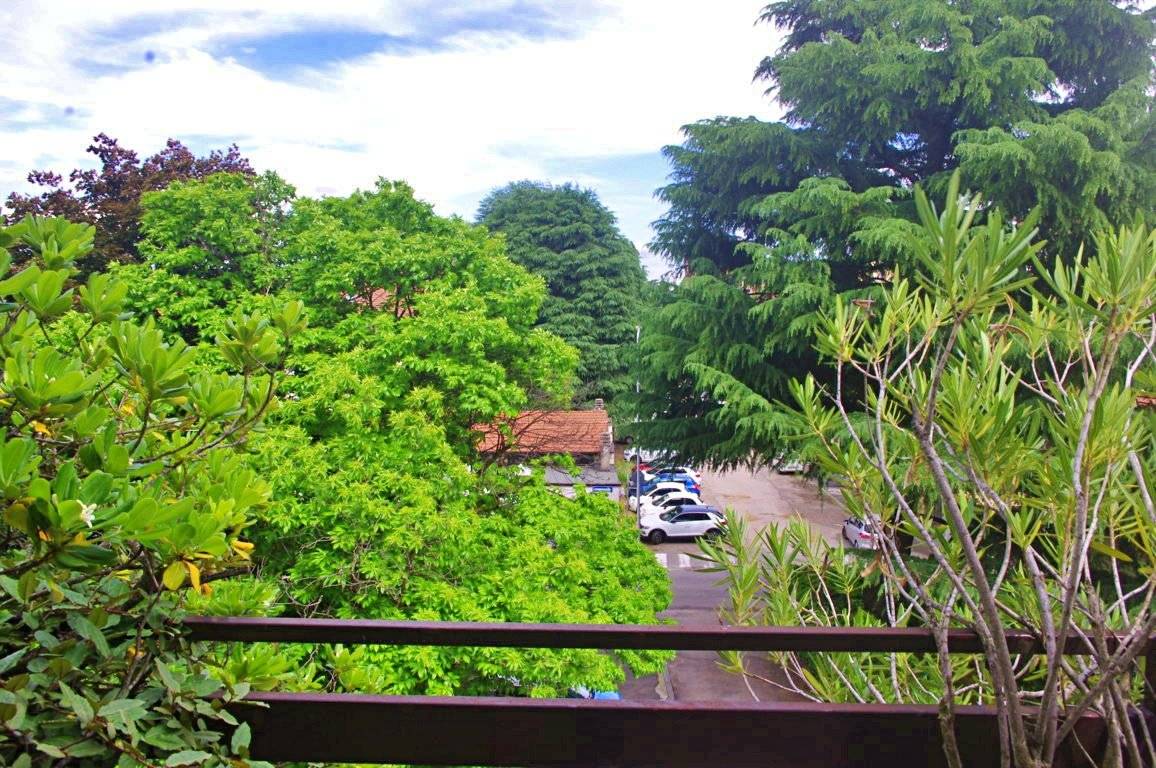 Vista