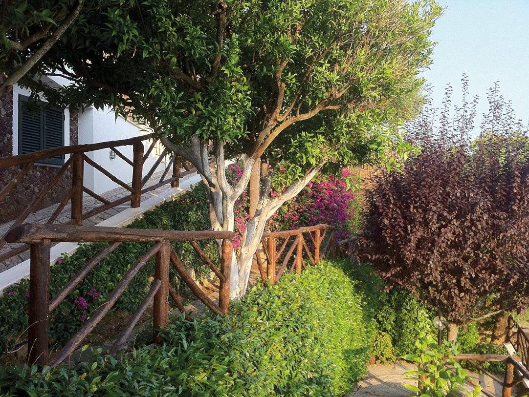 Giardino