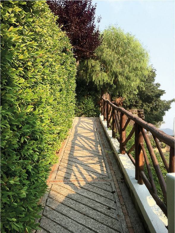 Giardino