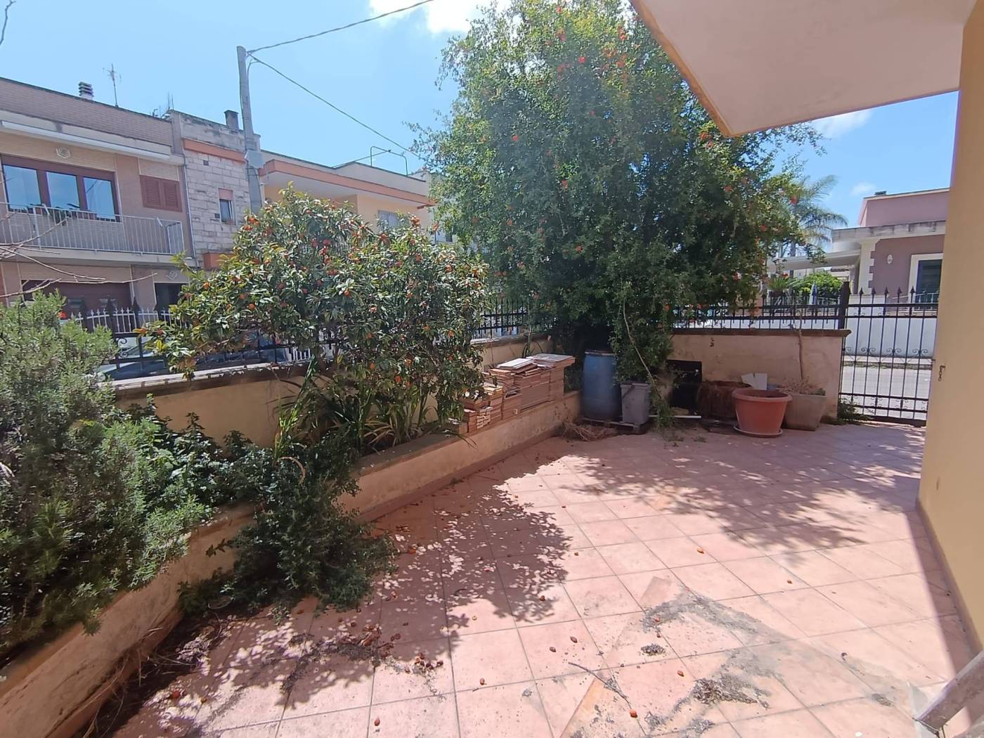 Giardino