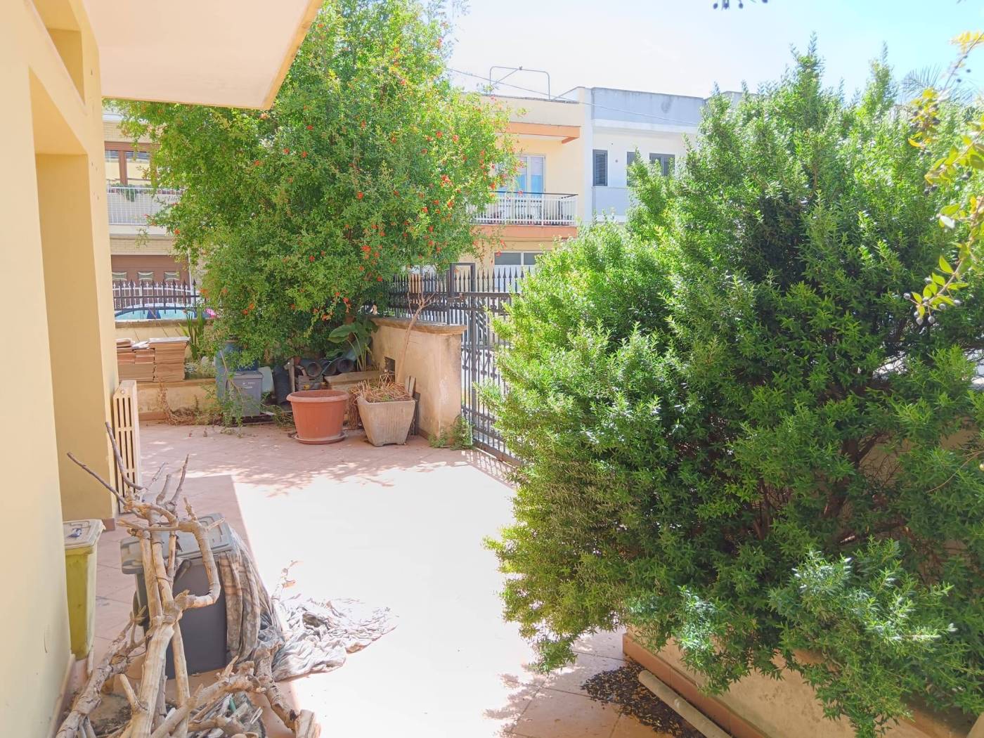 Giardino