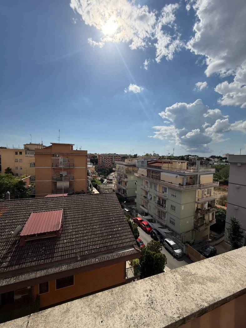 Vista