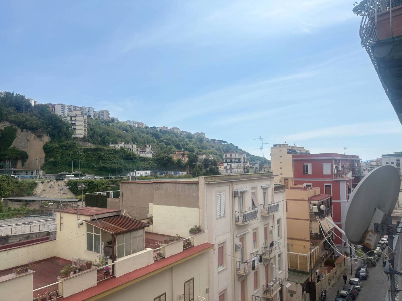 Vista