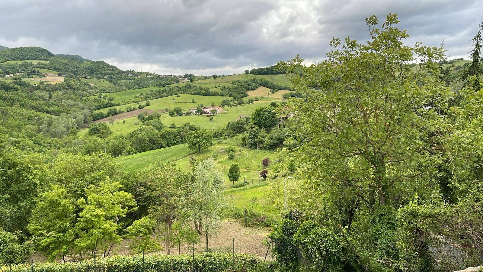 Vista