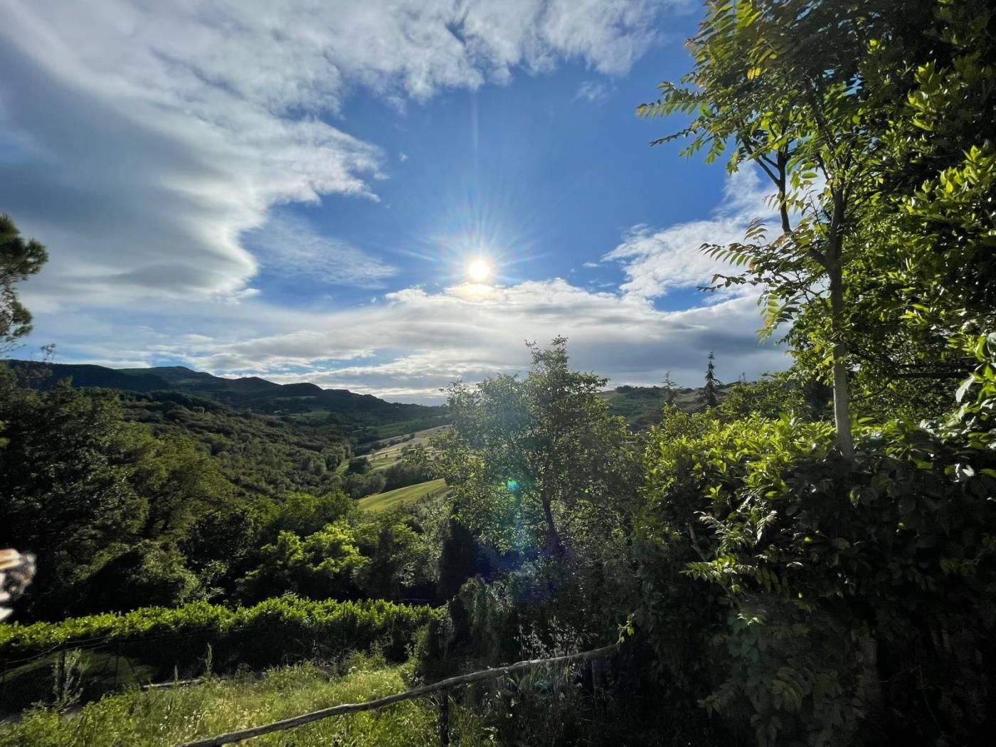 Vista