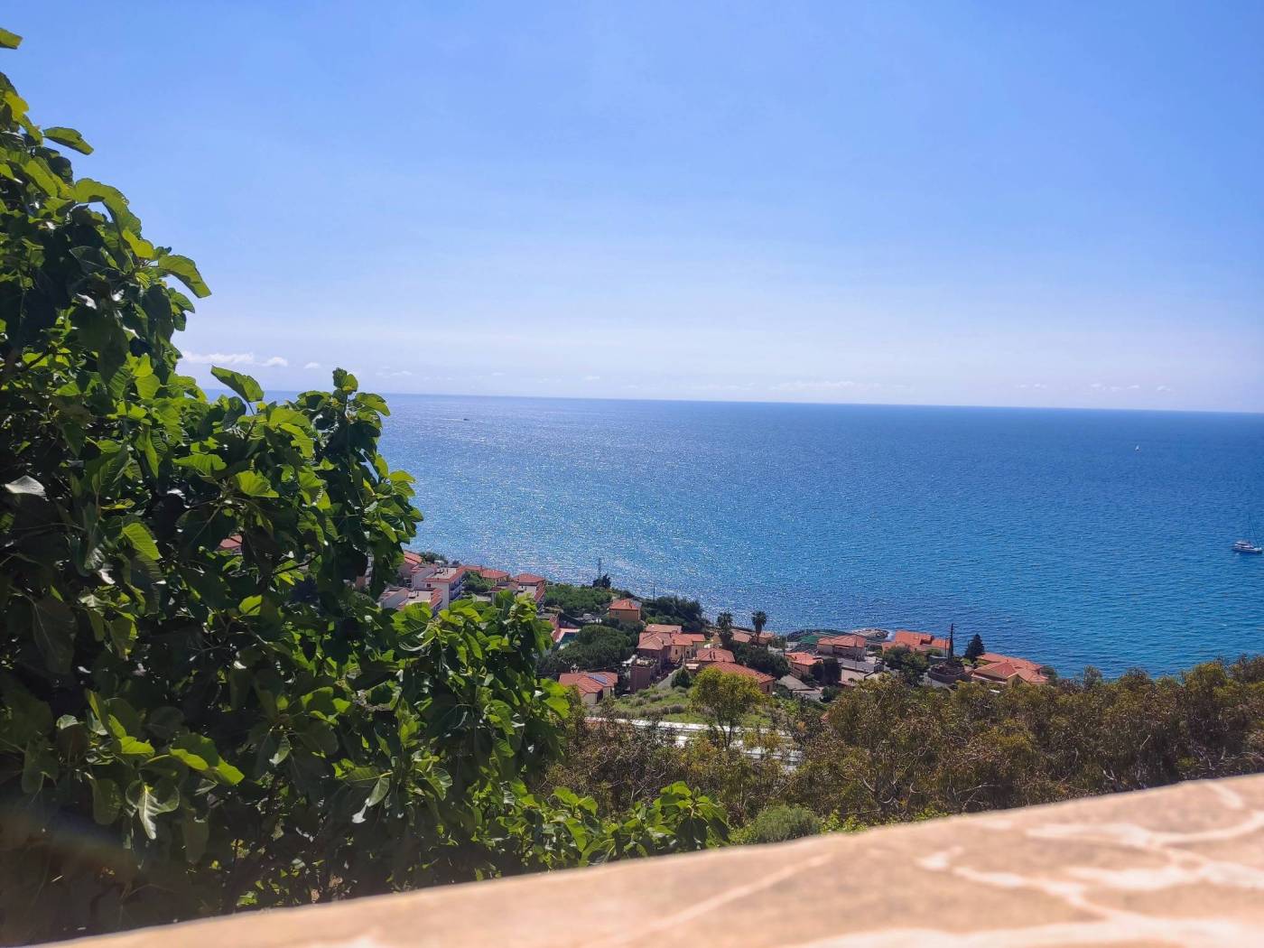 Vista