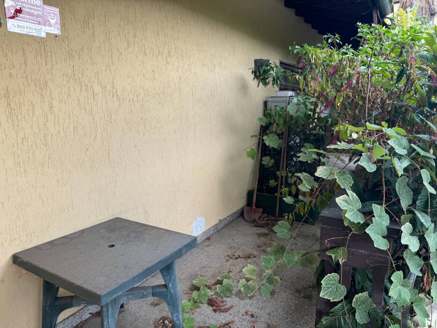 Giardino