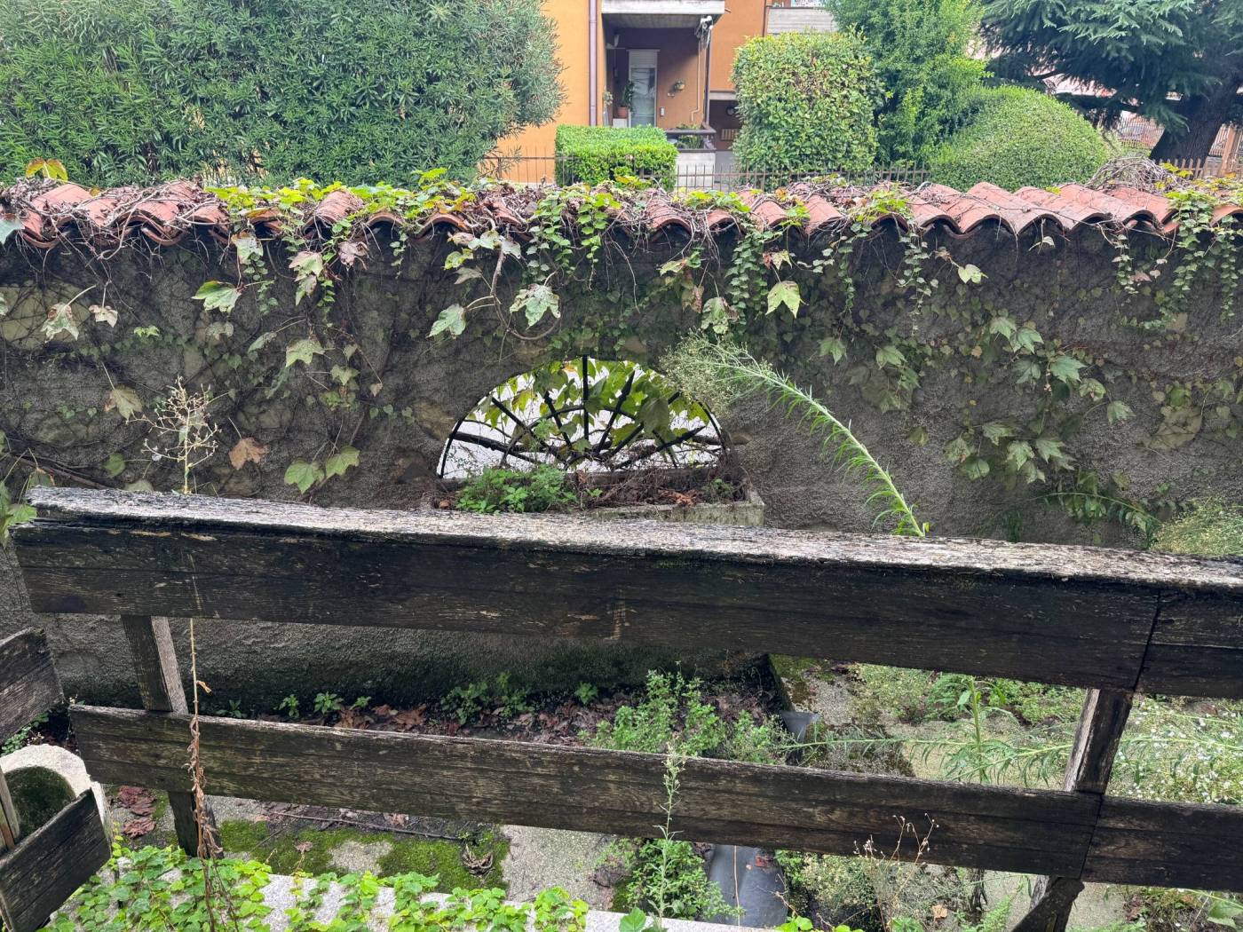 Terreno