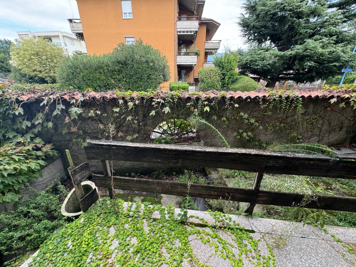 Giardino
