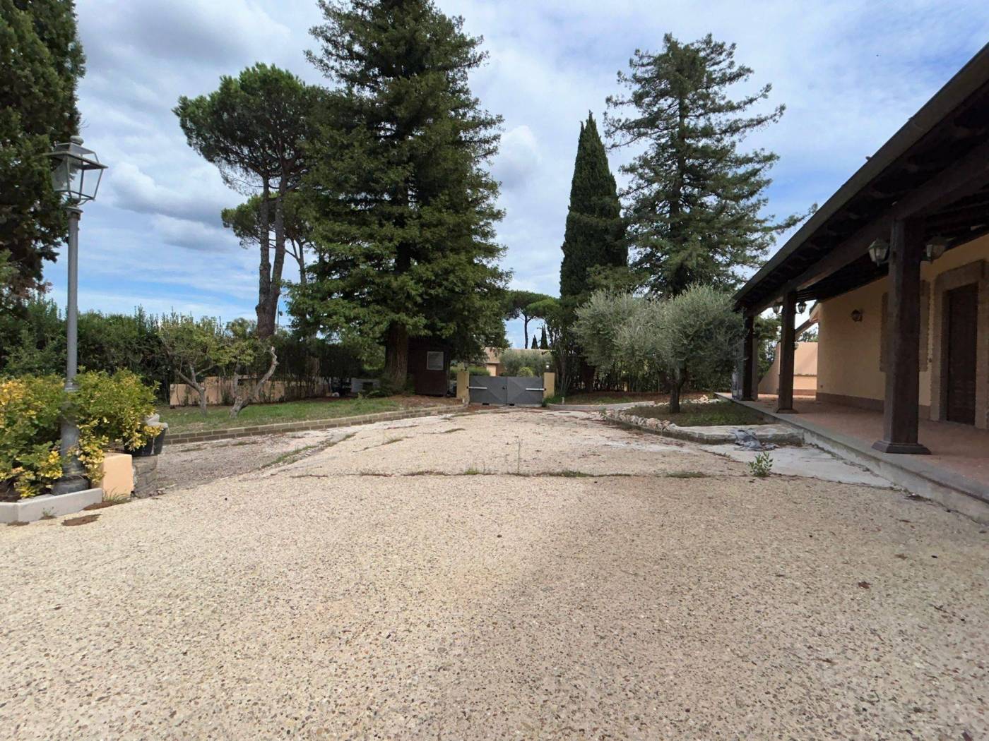 Terreno