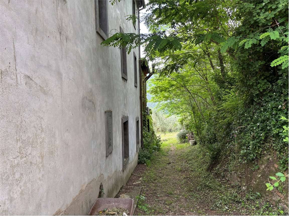 Terreno