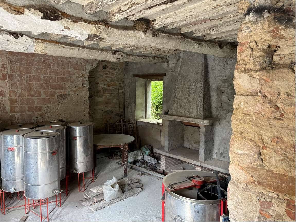 Cantina