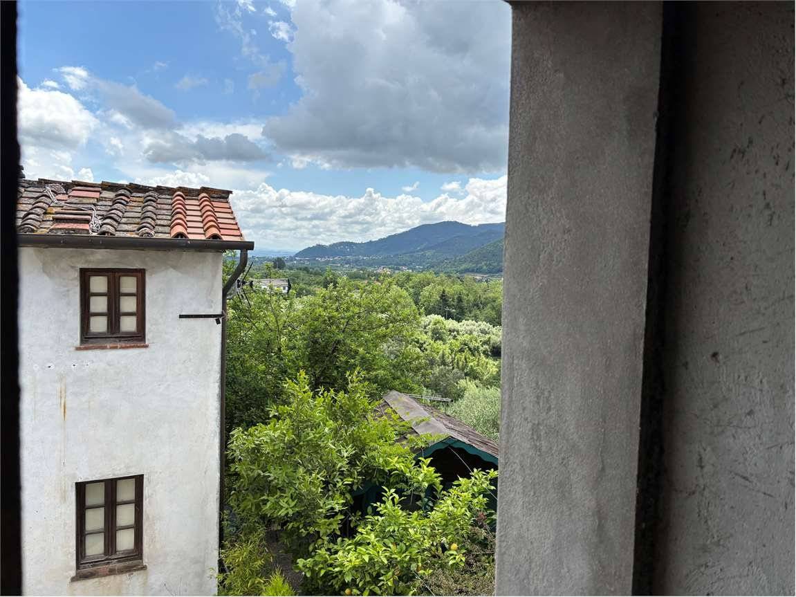 Vista
