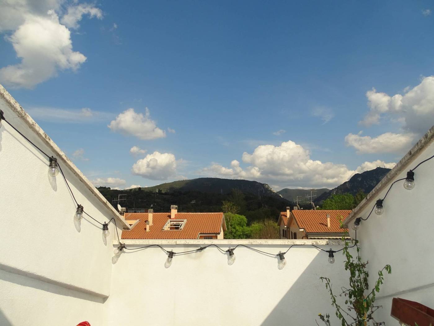 Vista