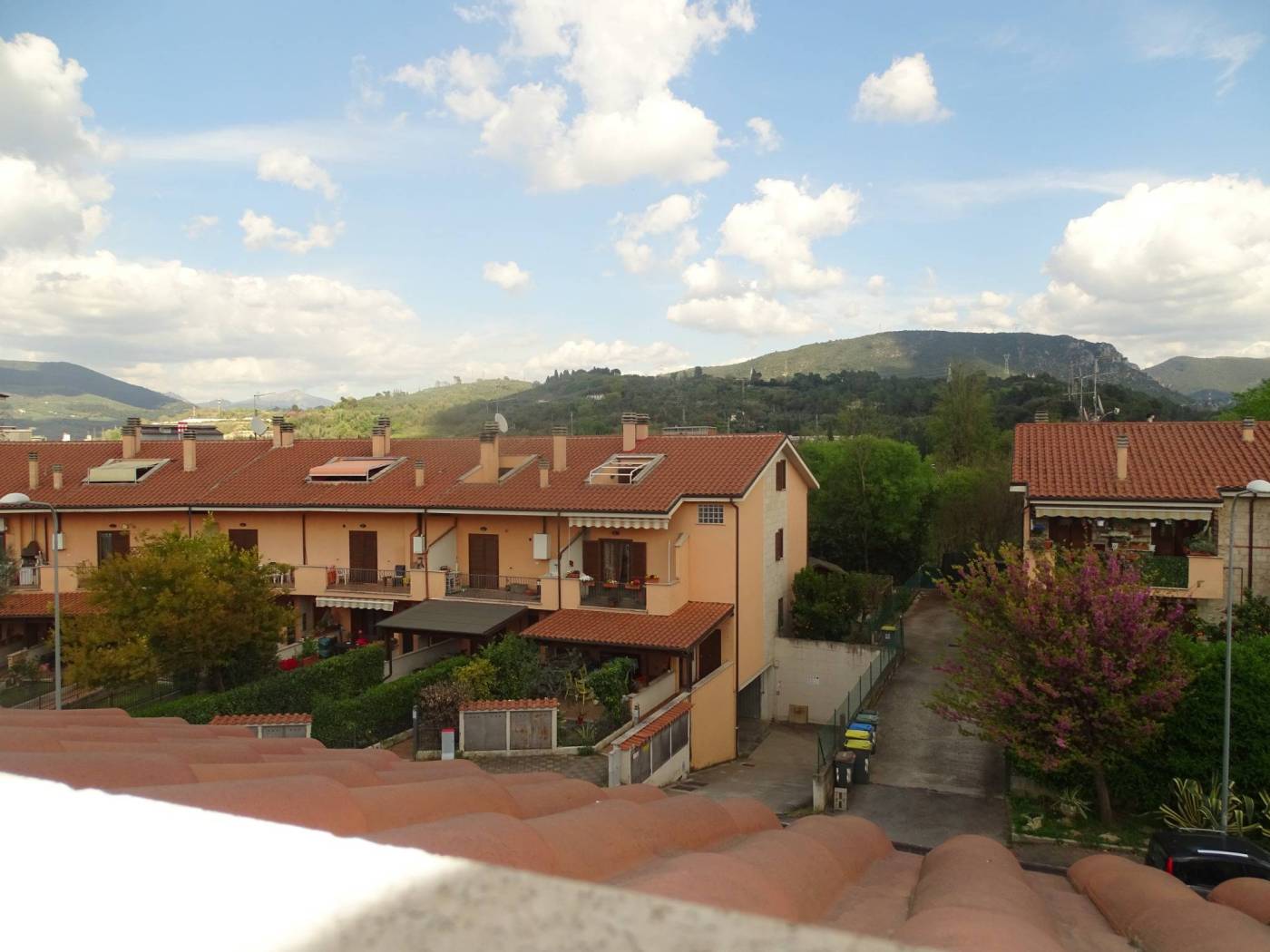 Vista