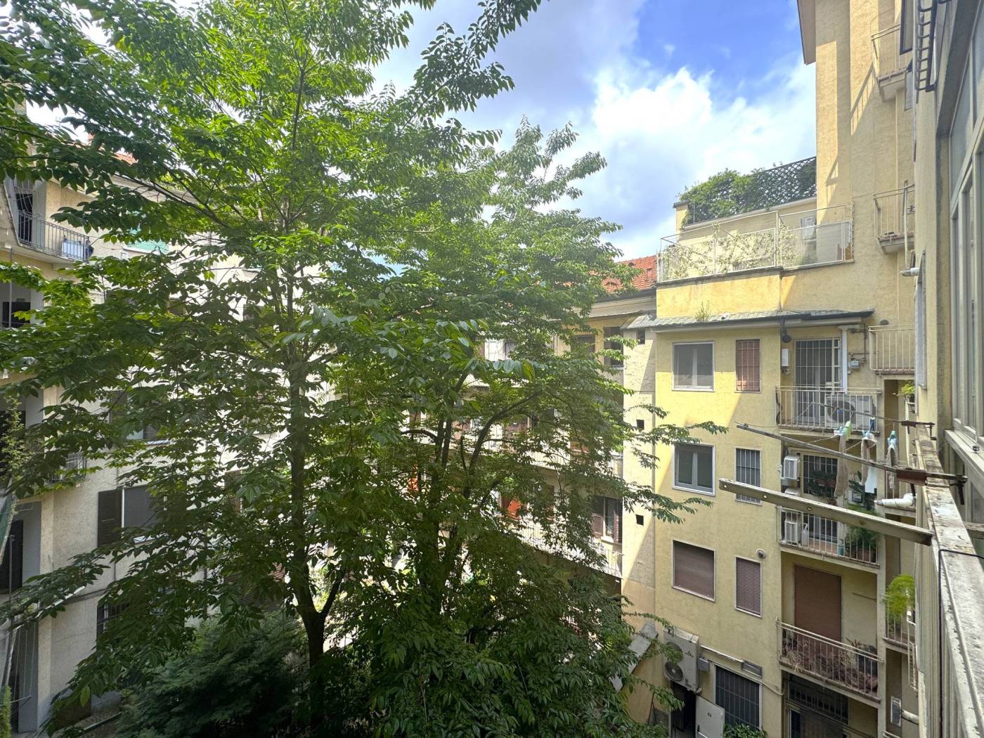Vista