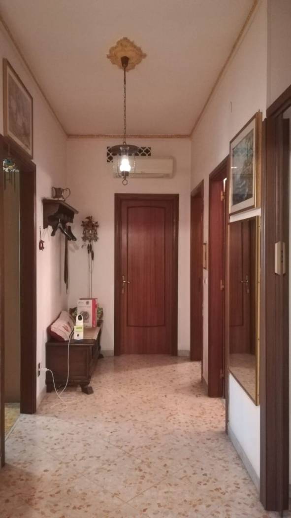 Ingresso