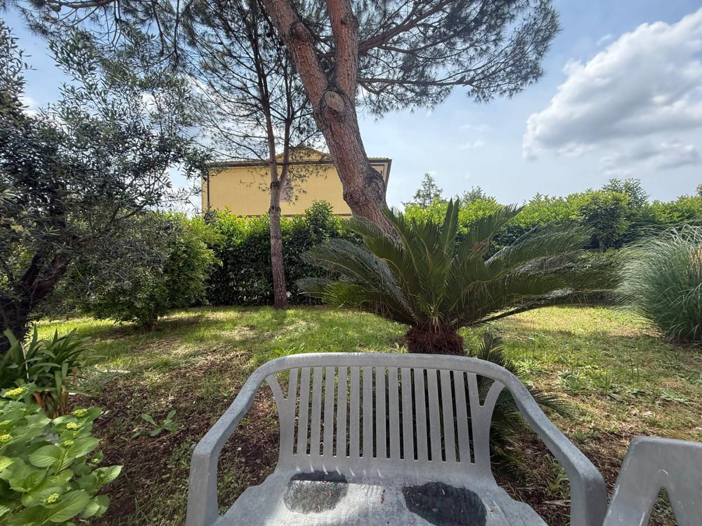 Giardino Giardino