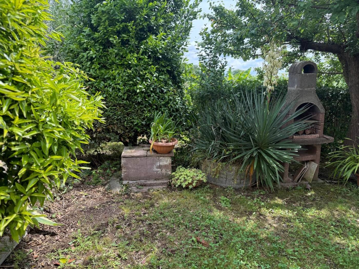 Giardino Giardino