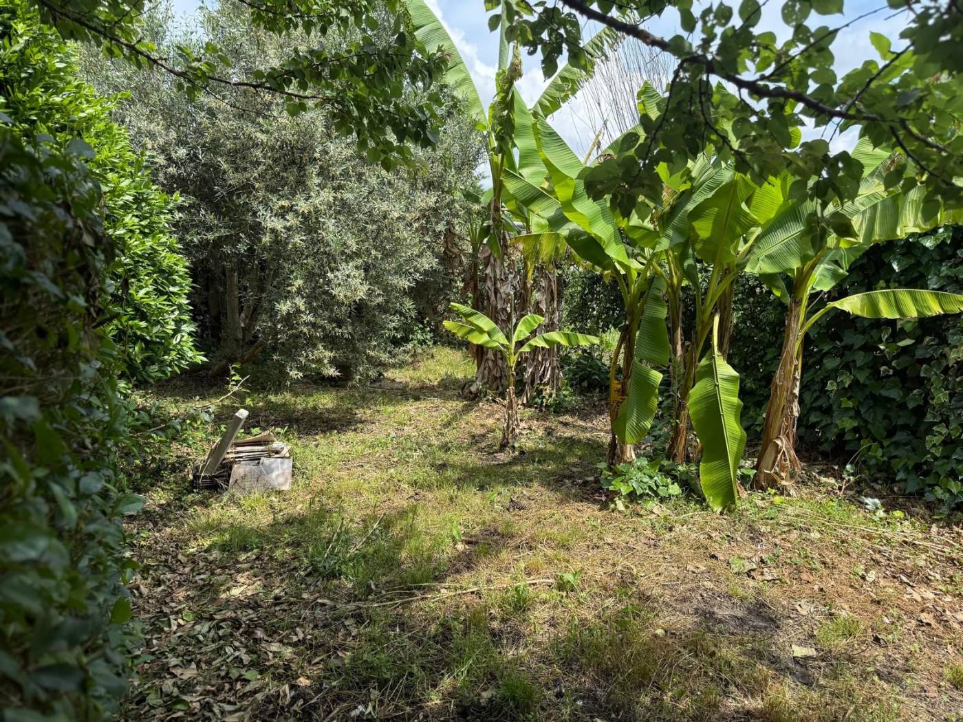 Terreno Terreno
