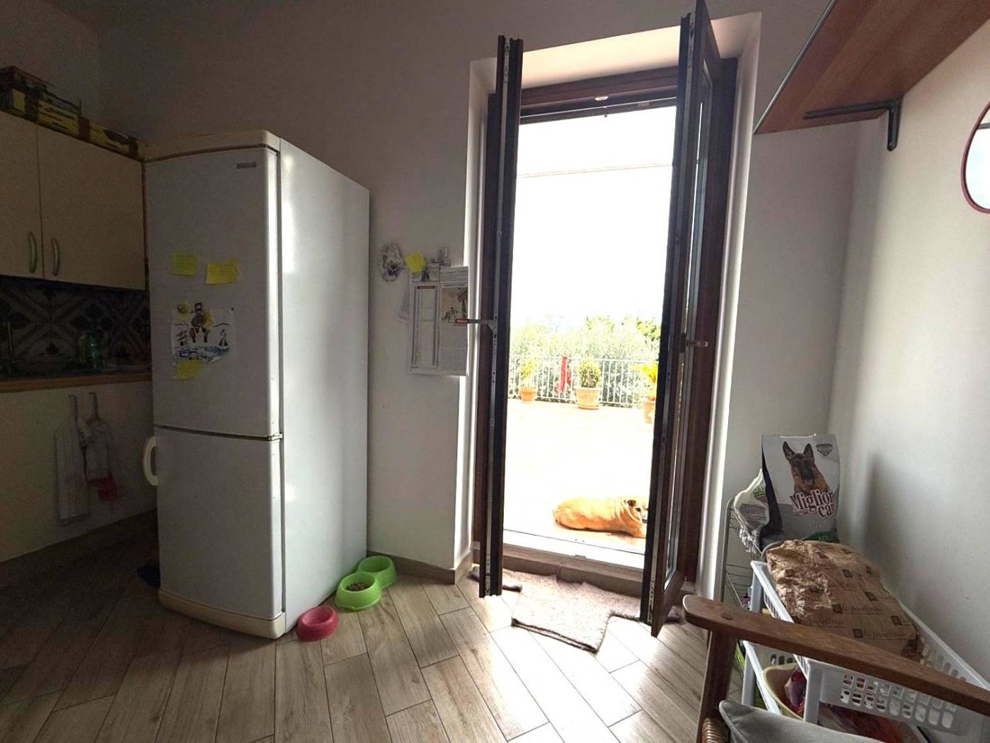 Cucina Cucina