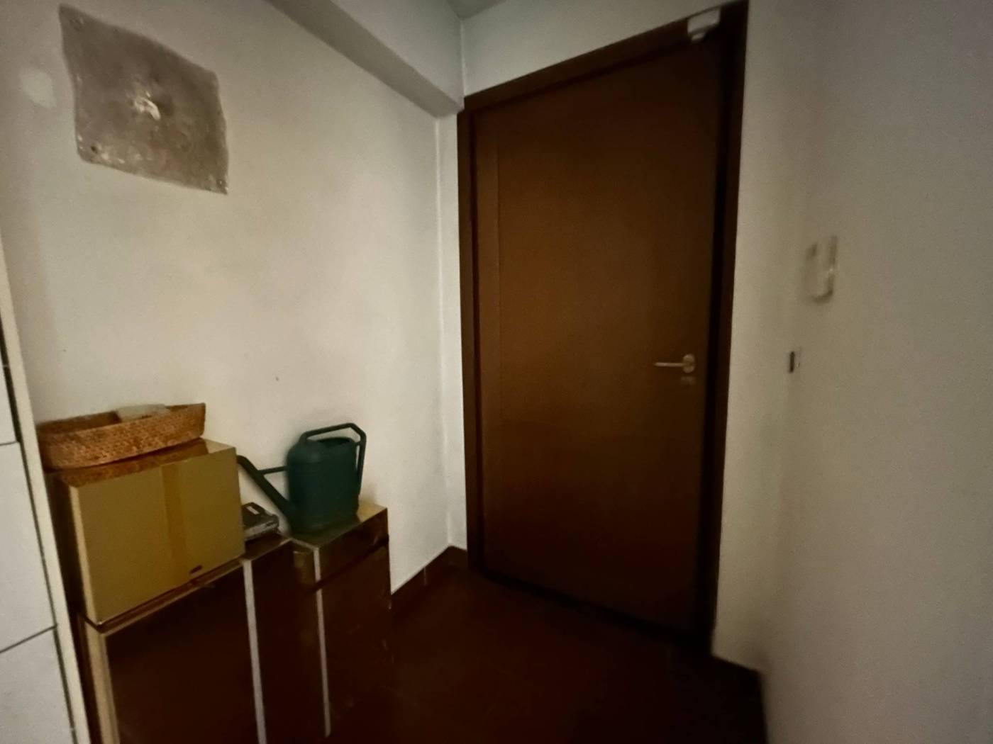 Ingresso