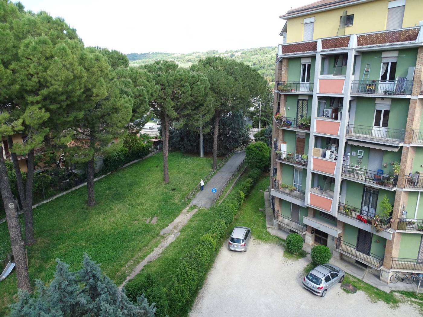 Vista
