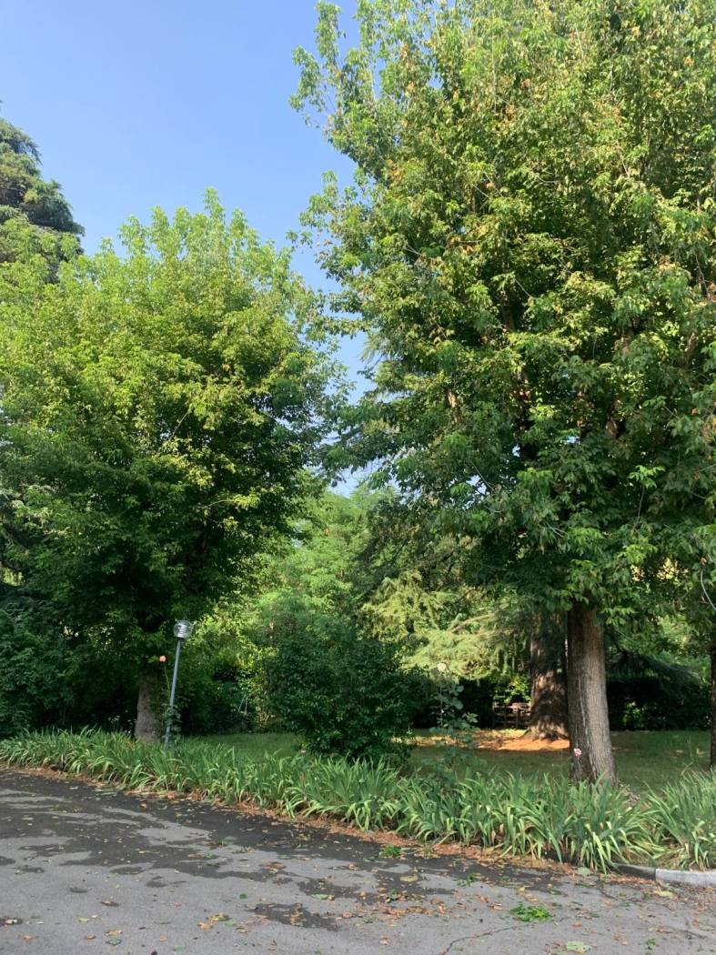 Terreno