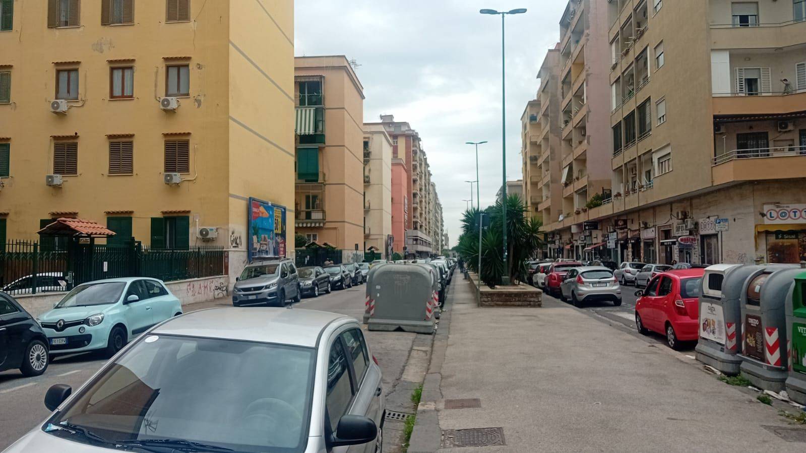 Zona