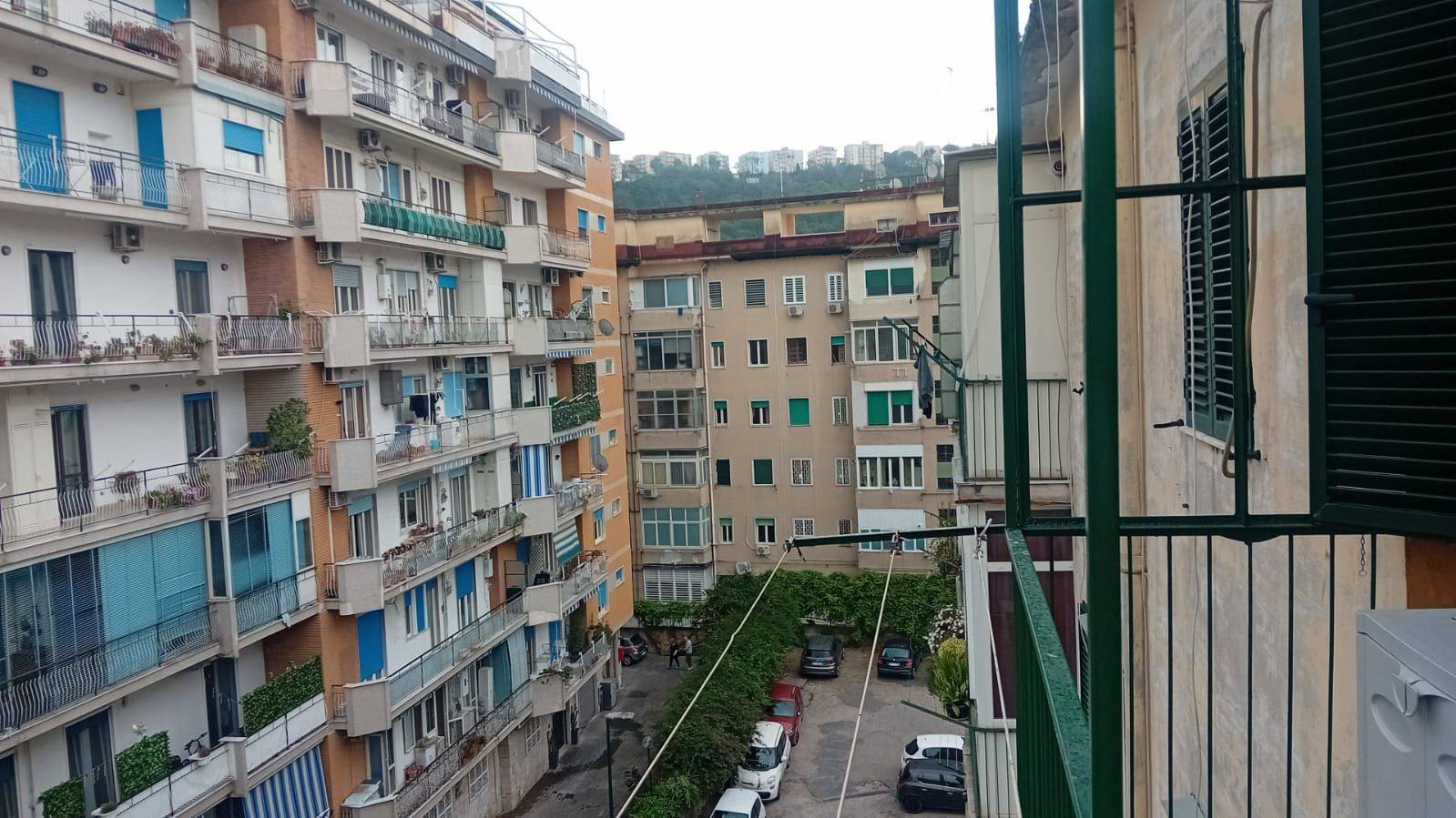 Vista