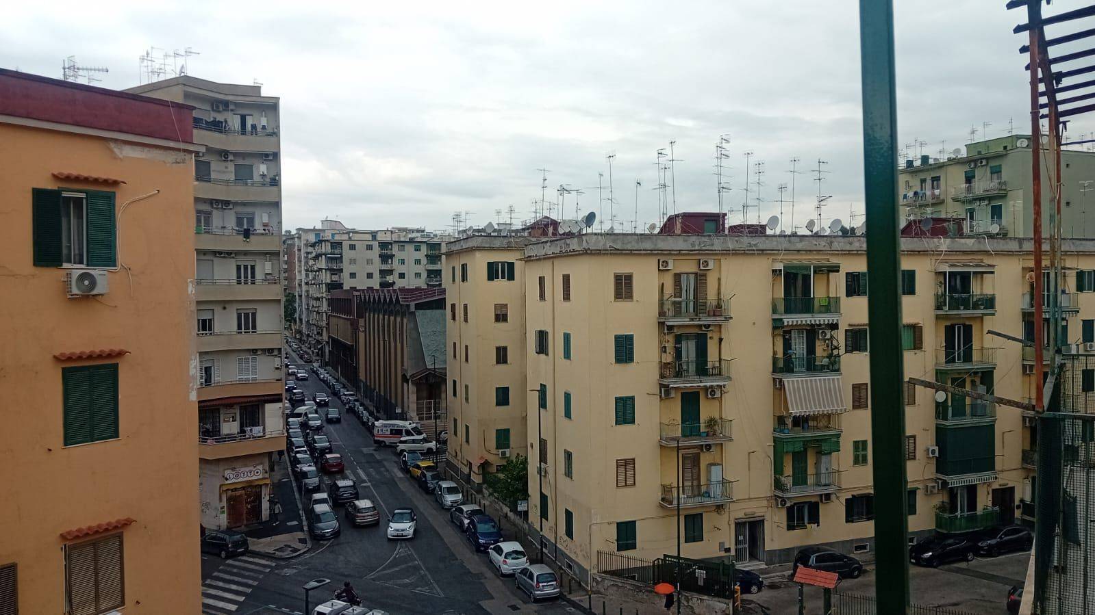 Vista