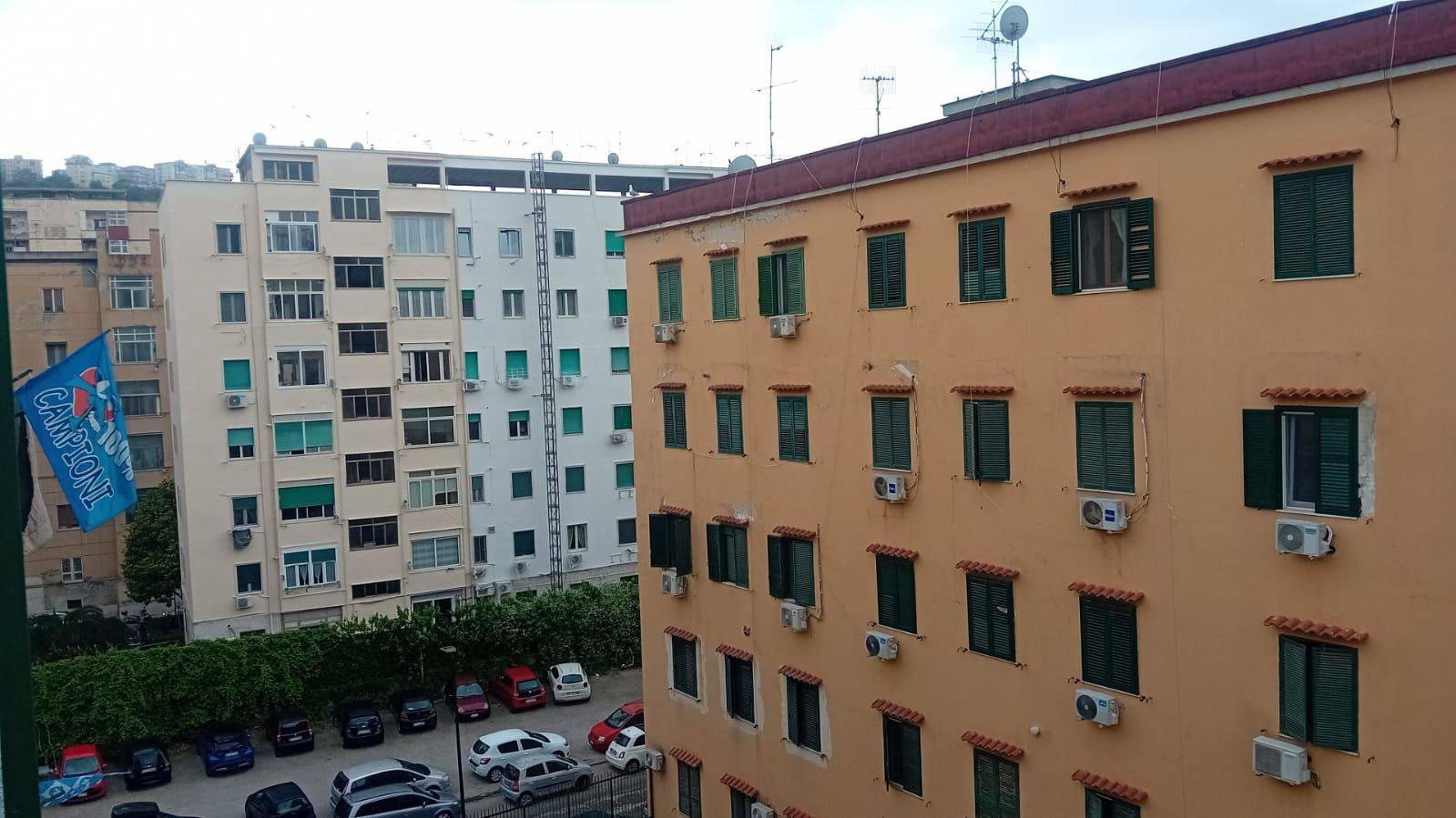 Vista