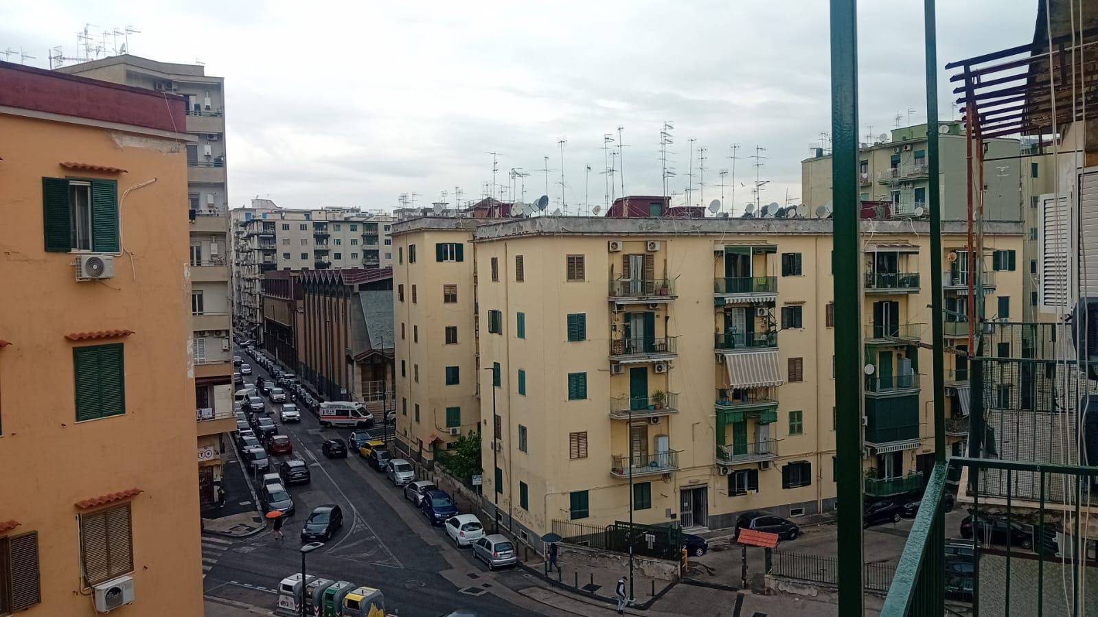 Vista