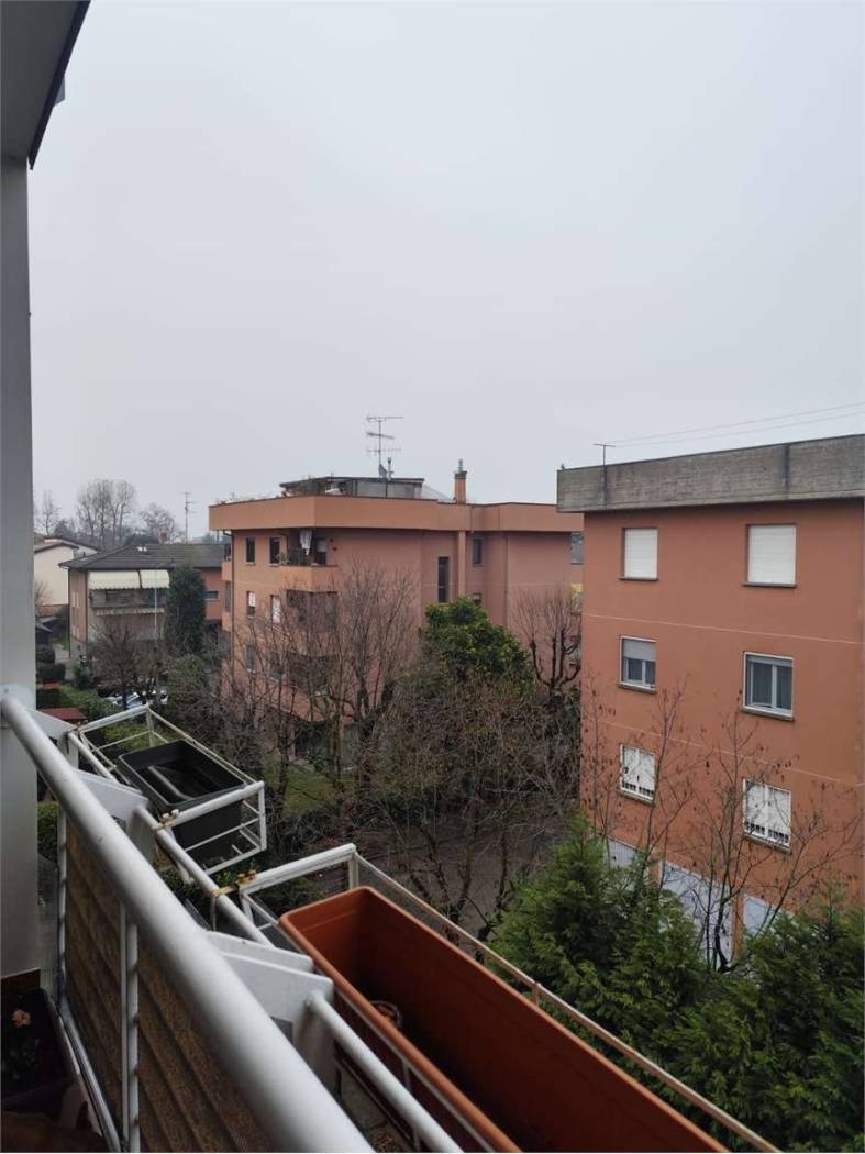 Vista