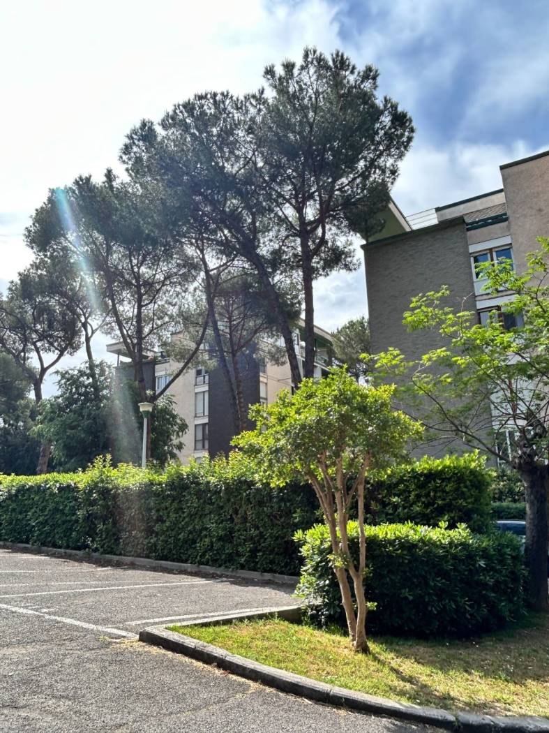 Giardino